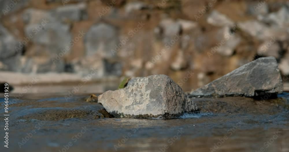 Close up of stones in watercourse in sunny day. Static, low POV, shallow focus