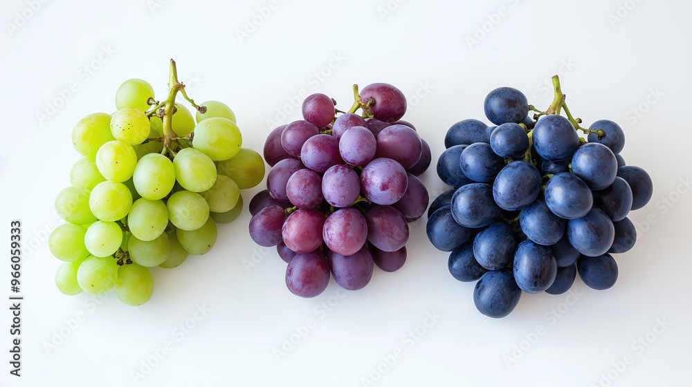 Grape isolated stock photo on white background Grape isolated stock photo on white background