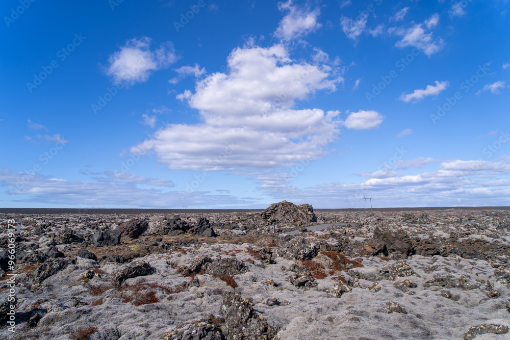 Vibrant lichens grow on the black volcanic rocks, presenting a primitive environment. Reykjavik Peninsula, Iceland. Vibrant lichens grow on the black volcanic rocks, presenting a primitive environment. Reykjavik Peninsula, Iceland.