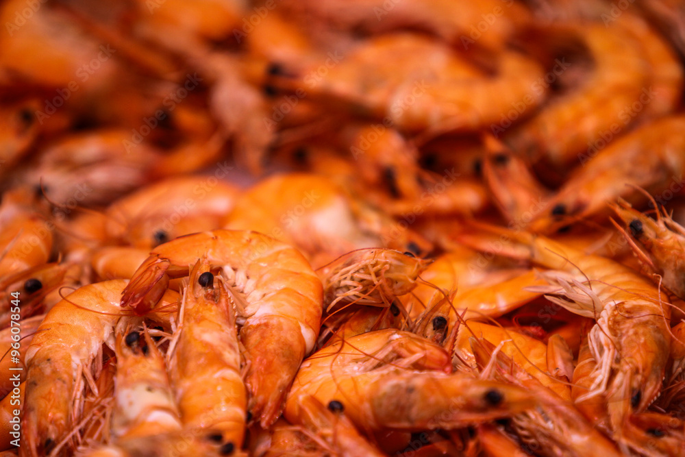 Vibrant whiteleg shrimp basking in a sea of orange, freshly harvested in coastal waters during a sunny morning Vibrant whiteleg shrimp basking in a sea of orange, freshly harvested in coastal waters during a sunny morning