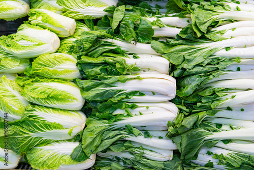 Chinese and Pekinensis cabbage. Bok choy background. Green grocery vegetable in food market. Organic food. Organic vegetable Bok choy. Background of organic Bok choy. Eco vegetable. Healthy dieting photo