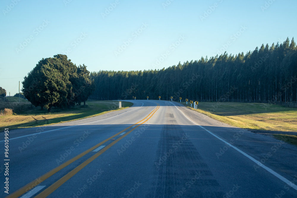 Curva en carretera señalixada Curva en carretera señalixada