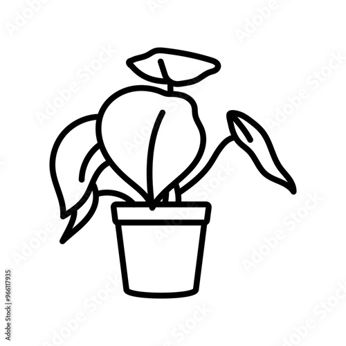 Peperomia Outline Icon, Vector illustration