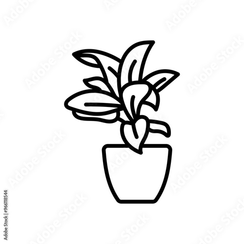 Homalomena Outline Icon, Vector illustration