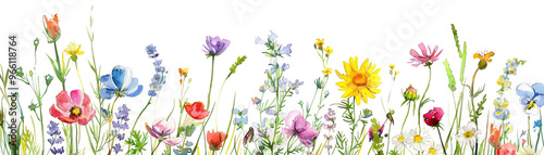 Vibrant Watercolor Wildflowers Meadow Background Pattern