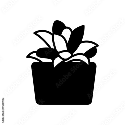 Haworthia Plant Glyph Icon, Vector illustration