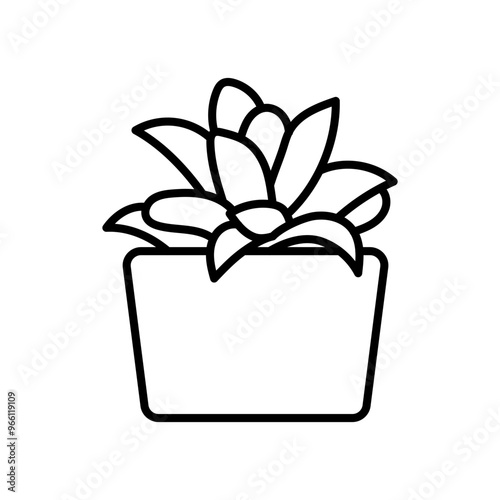 Haworthia Plant Outline Icon, Vector illustration