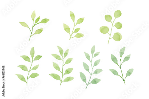 Assortment of watercolor leaves illustration set - green leaf branches collection for wedding, greetings, stationary, wallpapers, fashion, background. olive, green leaves, Eucalyptus etc