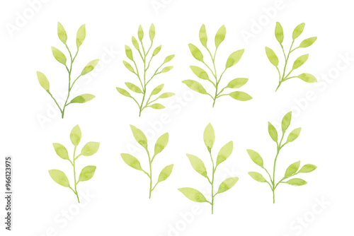 Assortment of watercolor leaves illustration set - green leaf branches collection for wedding, greetings, stationary, wallpapers, fashion, background. olive, green leaves, Eucalyptus etc