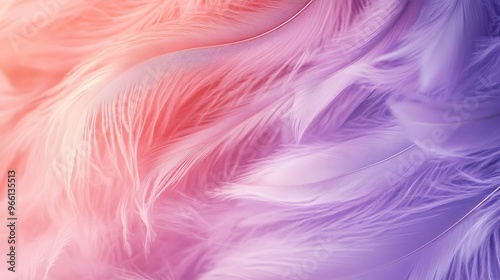 Soft Pink and Purple Feathers Close Up Background Texture