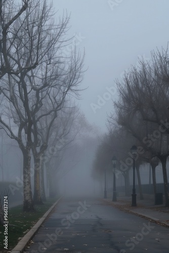 A foggy street with trees lining the sidewalk