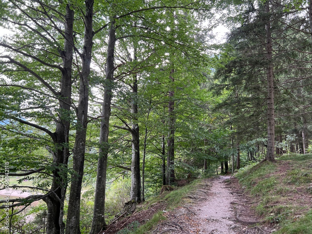 Raibl Lake Trail or Paths for walking and recreation along the lake Lago del Predil - Sentiero del lago di Raibl (Cave del Predil, Italia) ali Sprehajalne poti ob Predilskem jezeru Raibl Lake Trail or Paths for walking and recreation along the lake Lago del Predil - Sentiero del lago di Raibl (Cave del Predil, Italia) ali Sprehajalne poti ob Predilskem jezeru