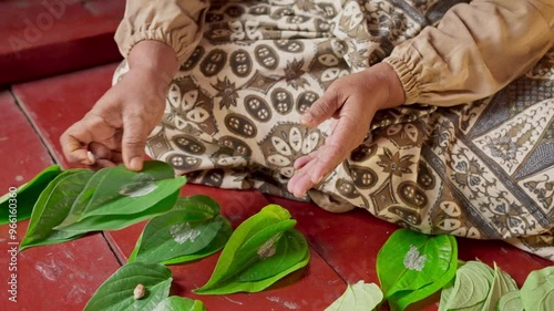 An asian woman prepares ingredients for betel nut chewing also called betel quid chewing or areca nut chewing