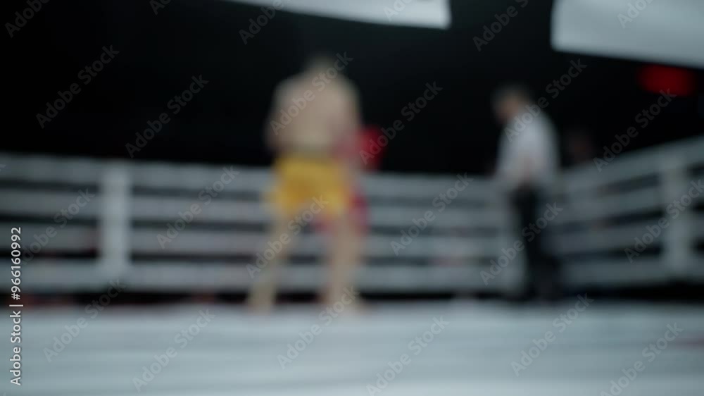 Two muay thai fighters are facing each other in a ring. They are wearing boxing gloves and shorts, and a referee is observing the match Two muay thai fighters are facing each other in a ring. They are wearing boxing gloves and shorts, and a referee is observing the match