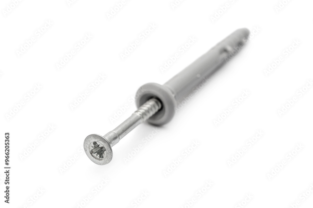 Single screw with dowel on white background. Close up. Single screw with dowel on white background. Close up.