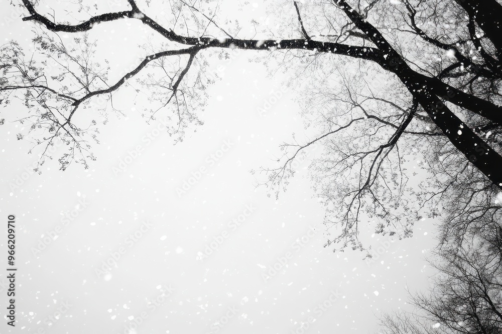 Fototapeta premium Tranquil Winter Scene with Falling Snow and Pale Sky Negative Space
