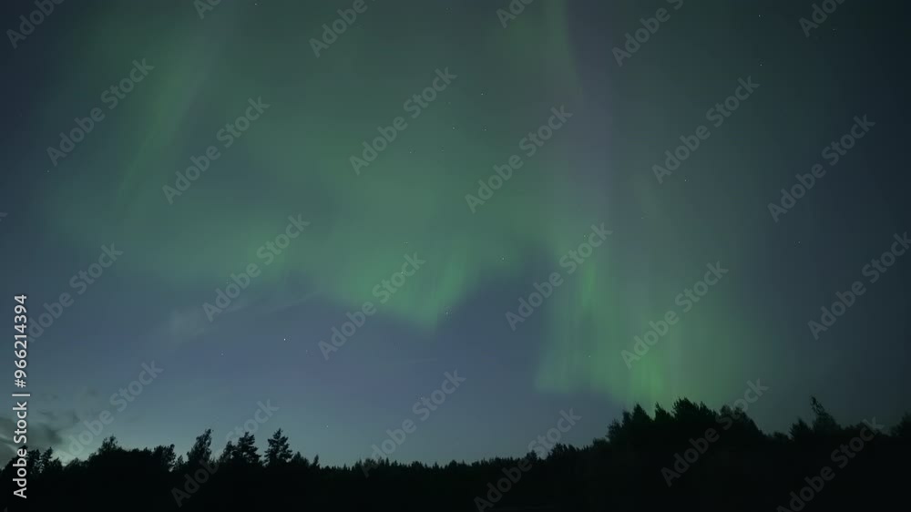 Auroras above treeline and a shooting star, real-time video Auroras above treeline and a shooting star, real-time video