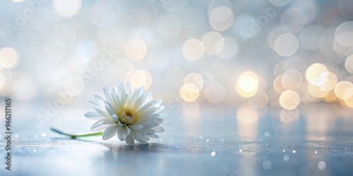 White Daisy on a Glittering...