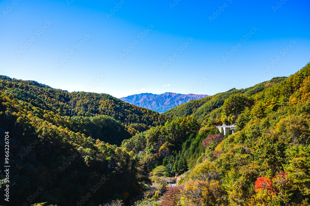 Fototapeta premium もみじ湖越しの木曽山脈