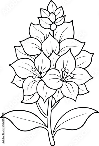 Delphinium flower icon silhouette illustration on black and white