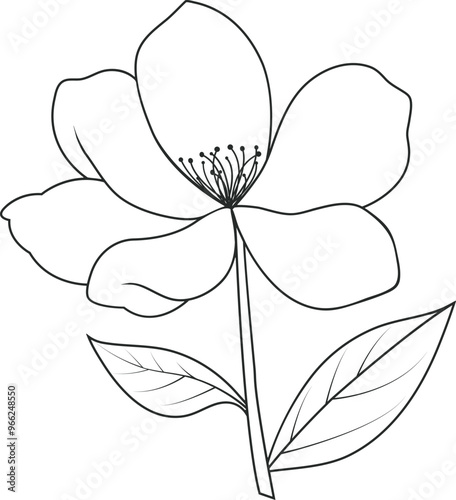 Hand drawn floral vector illustration