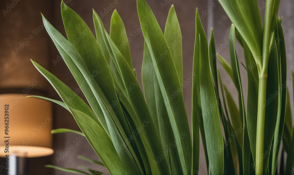 Obraz premium Green leaves of a plant grow tall in front of a brown wall, illuminated by soft lighting from a lamp