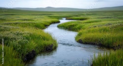 Lush green meadow with white flowers beside a flowing river under a cloudy sky in spring