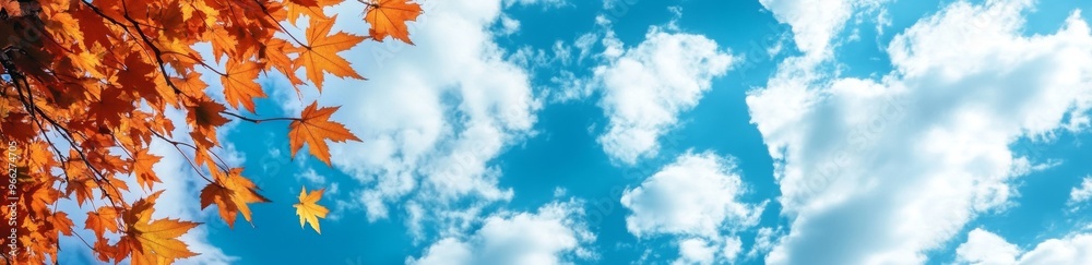 Colorful autumn leaves create a stunning canopy against a bright blue sky with fluffy clouds Colorful autumn leaves create a stunning canopy against a bright blue sky with fluffy clouds
