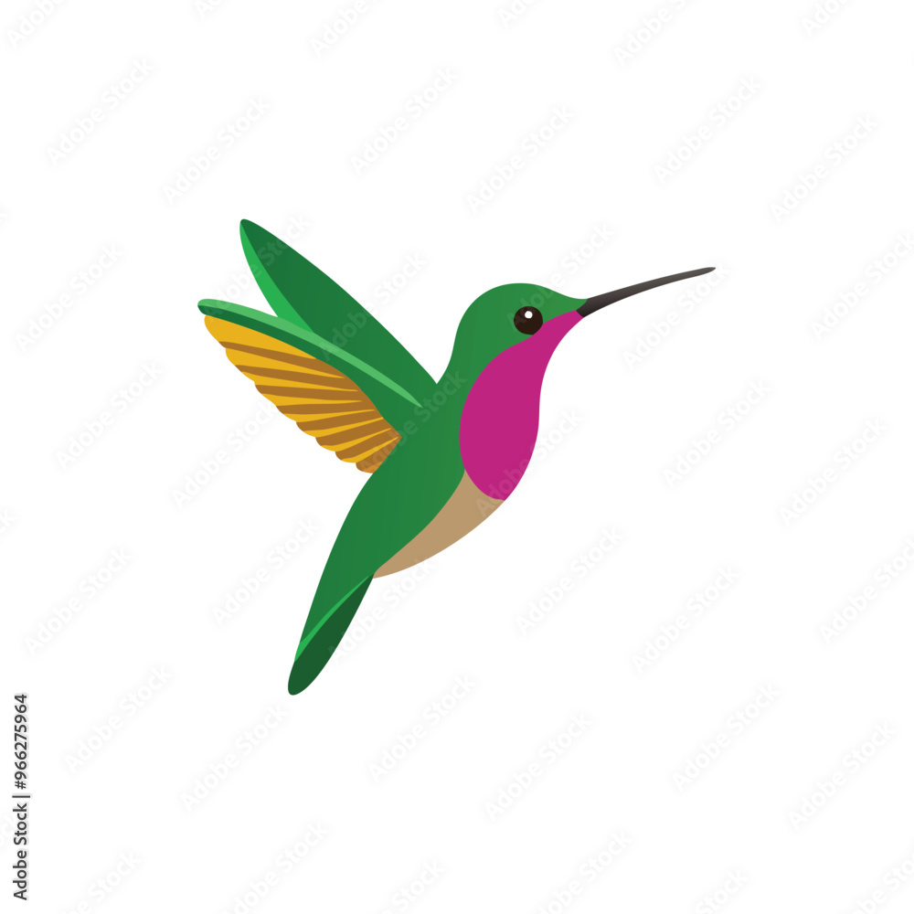 Obraz premium A flying Hummingbird vector illustration clipart, white background