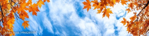 Colorful autumn leaves create a stunning canopy against a bright blue sky wit...