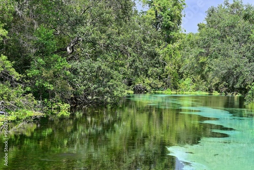 Spring Fed River in Central Florida