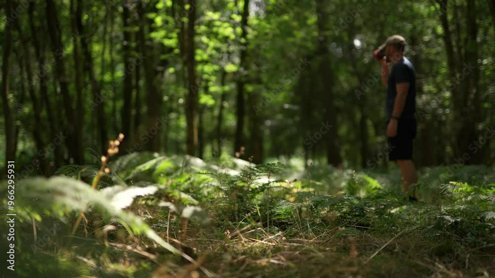 A man drinking something in a beautiful forest A man drinking something in a beautiful forest