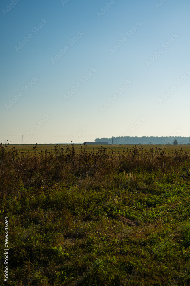 The field in the early morning. A harvested wheat field in the distance The field in the early morning. A harvested wheat field in the distance