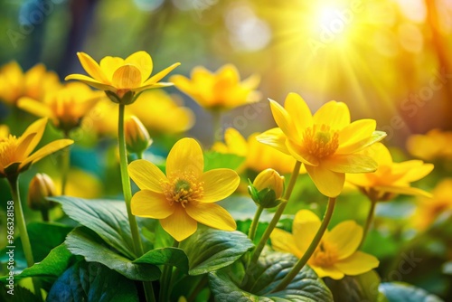 Vibrant yellow blooming wren flowers stand out against a lush green foliage background, capturing the joyful essence of