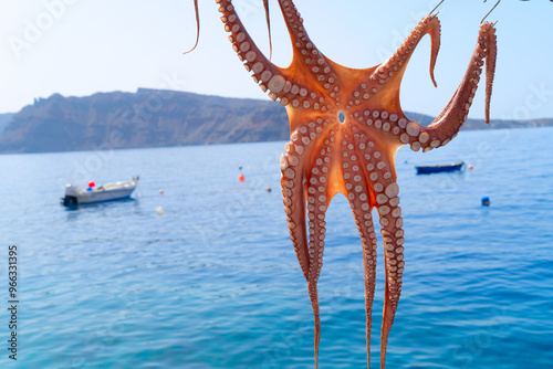 sun dried octopus hanging on a rope against harbour background photo