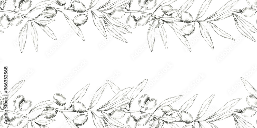 Fototapeta premium Olive branch pencil drawing clipart extending horizontally, with detailed leaves and fruit. Seamless border illustration for use in product labels, website design, or as a decorative border