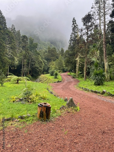 Path to the unknown 