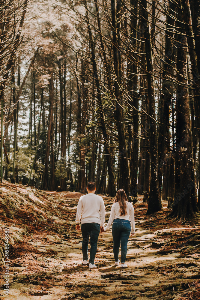 Fototapeta premium couple walking in the woods