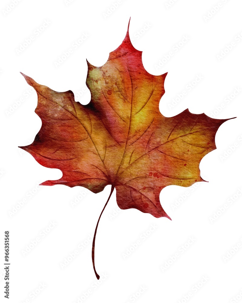 Vibrant autumn maple leaf showcasing warm hues in a peaceful natural setting Vibrant autumn maple leaf showcasing warm hues in a peaceful natural setting