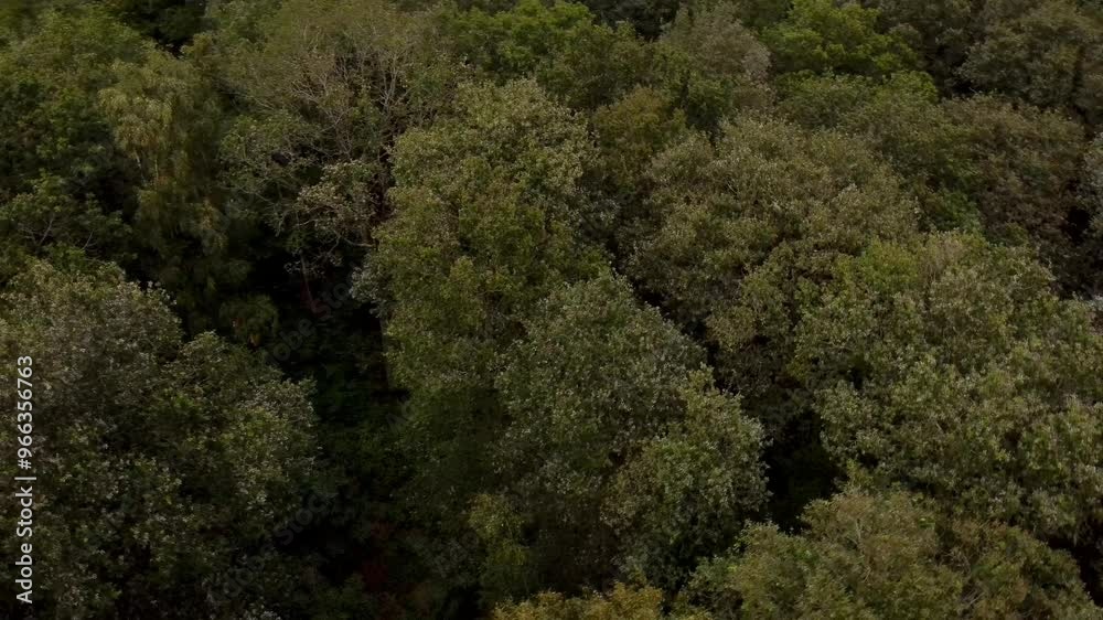 Aerial video over Bourne Woods Bourne UK Aerial video over Bourne Woods Bourne UK