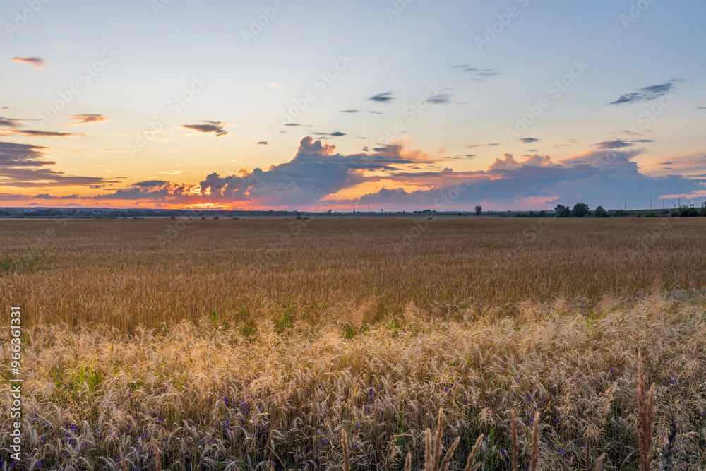 A serene view of golden wheat fields bathed in warm colors as the sun sets on the horizon, blending peaceful light with the tranquil landscape of the Midwest. A serene view of golden wheat fields bathed in warm colors as the sun sets on the horizon, blending peaceful light with the tranquil landscape of the Midwest.