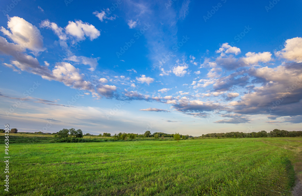 A vast green field under a blue sky with fluffy clouds evokes tranquility and peace A vast green field under a blue sky with fluffy clouds evokes tranquility and peace