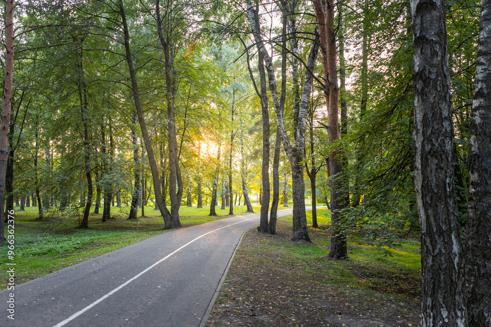 A road with trees on both sides and a sun shining on the road A road with trees on both sides and a sun shining on the road