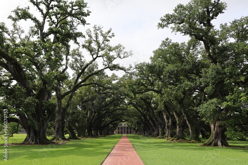 Oak Alley, Louisiana