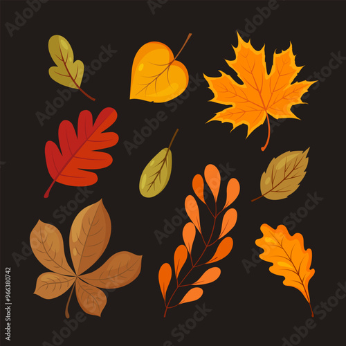 Vector cartoon autumn leaves collection of different types isolated on dark background.	
