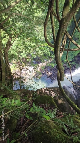 Circuito de cascadas en Chiriqui  photo