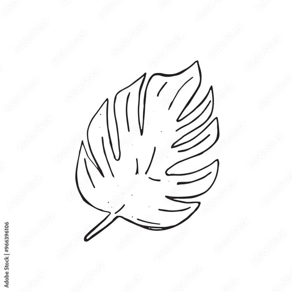Graphic leaves. Hand draws graphic illustrations on a white background. Graphic leaves for design Graphic leaves. Hand draws graphic illustrations on a white background. Graphic leaves for design