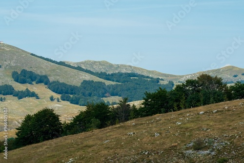 Rolling hills with scattered trees and blue sky. Durmitor National Park. Montenegro