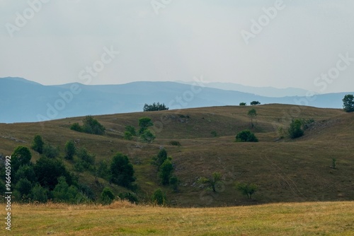 Rolling grassy hills with scattered trees and misty mountains. Durmitor National Park