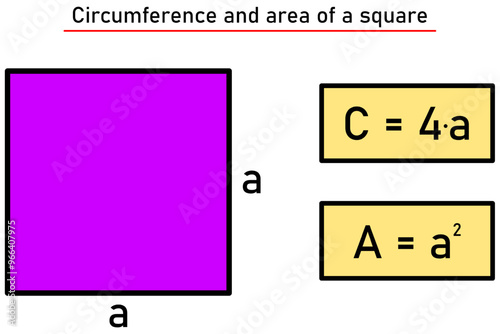 The circumference and area of a square in purple with formulas in a yellow frame
